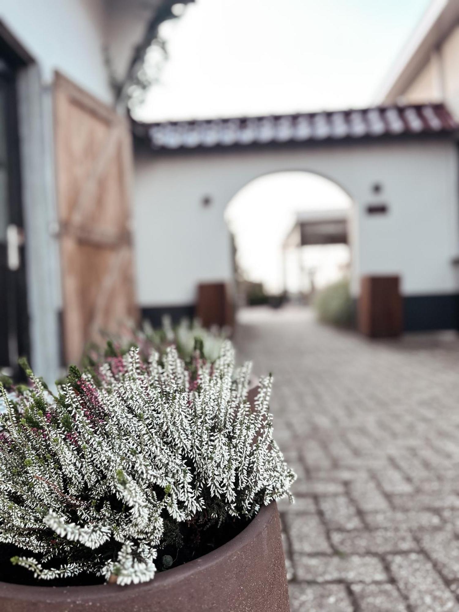 Lienden Betuwsch Badhuys Bed & Breakfast エクステリア 写真