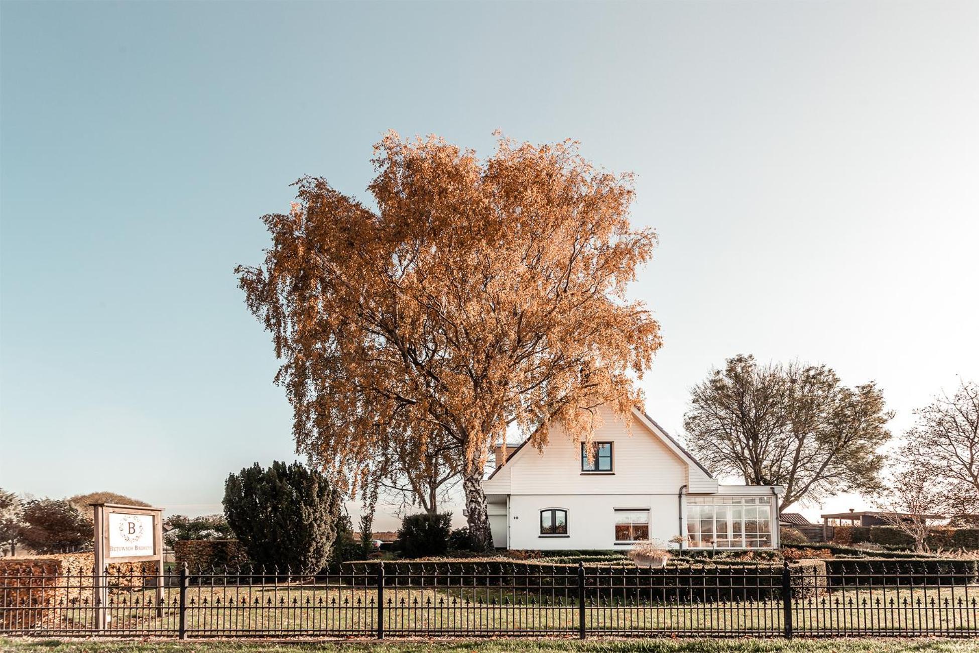 Lienden Betuwsch Badhuys Bed & Breakfast エクステリア 写真